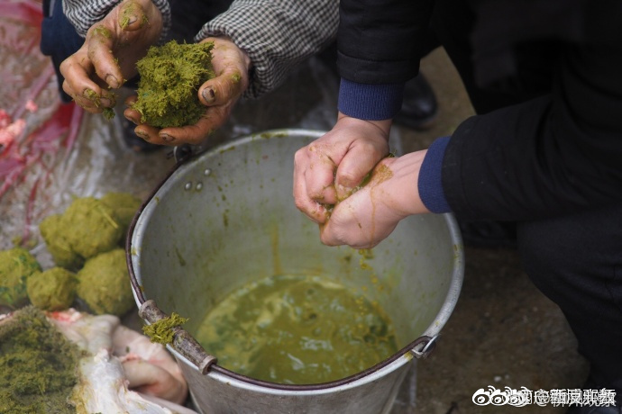 你知道牛瘪汤中的牛瘪是怎么来的吗看图doge