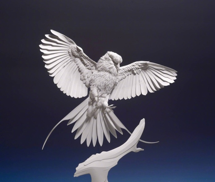 纸上动物园 纸雕塑艺术家calvin nicholls 67676767