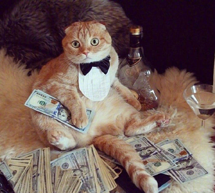 这大金链子,大把钞票,肥头大耳!威武霸气wuli社会橘!