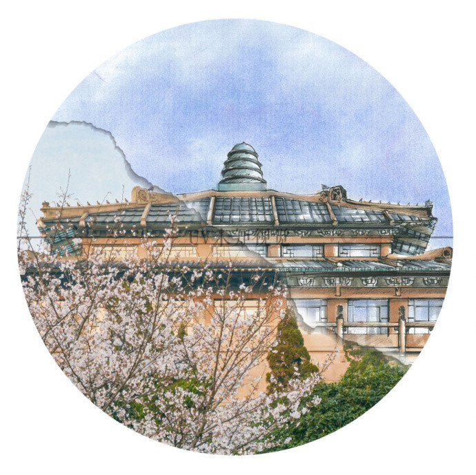 武大樱花,当手绘遇上摄影 摄影:王玄煜 插画:李沛文