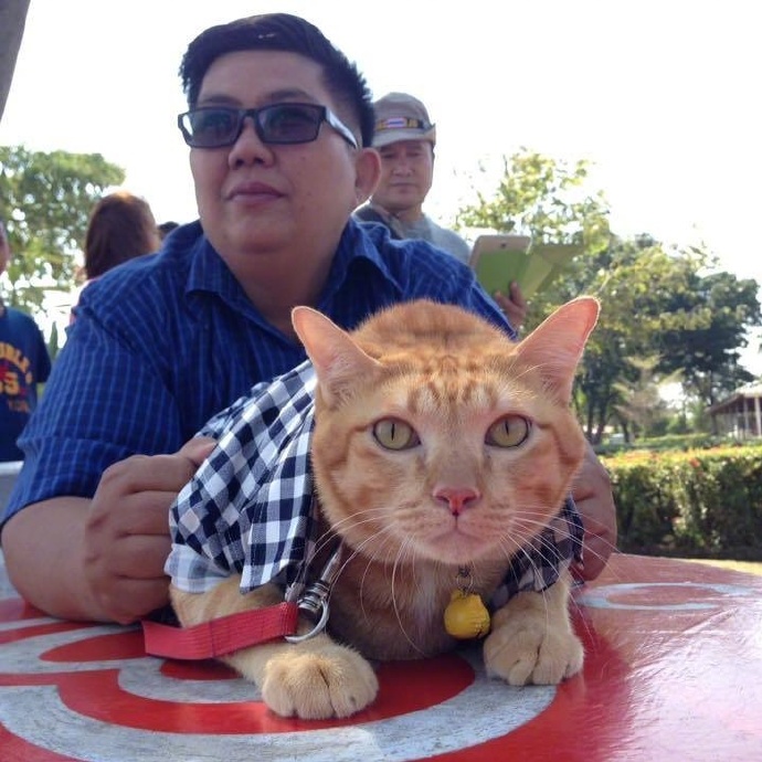 橘猫跟主人的合照,太肥了