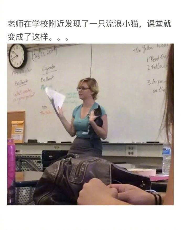 分享一些国外的奇葩老师!_新浪看点