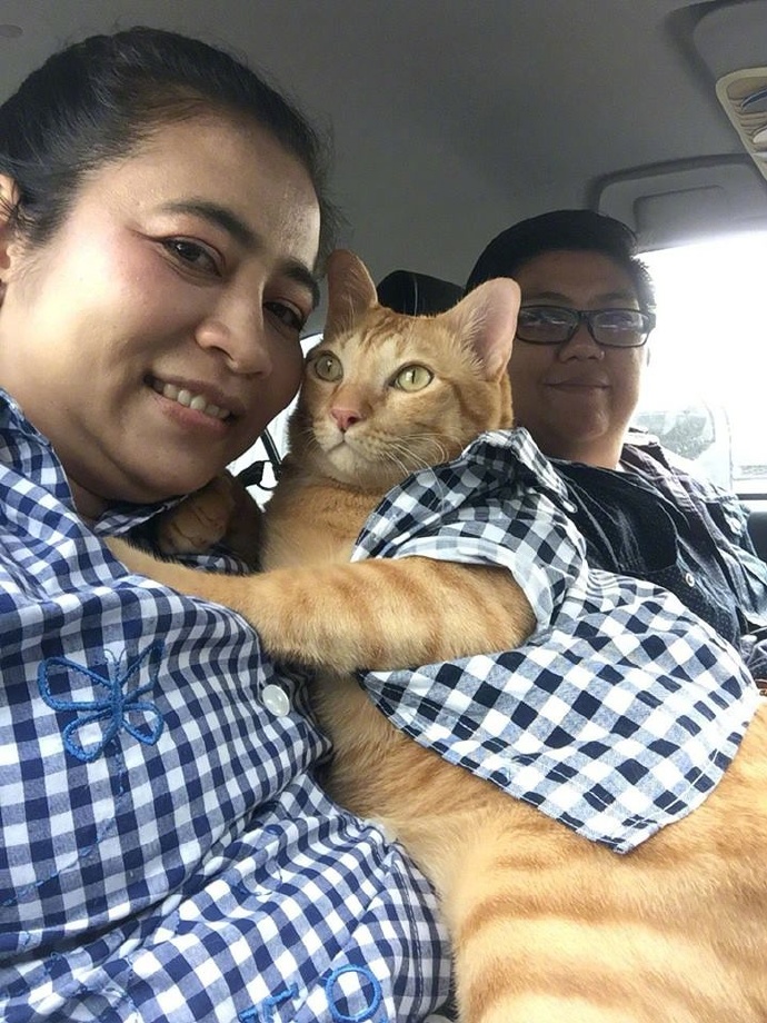 橘猫跟主人的合照,太肥了