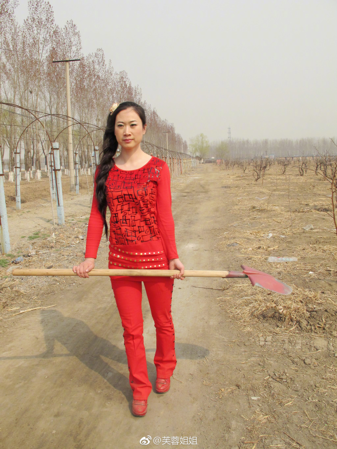 芙蓉姐姐一身红装去田间植树,网友:你能当上"村花"了!