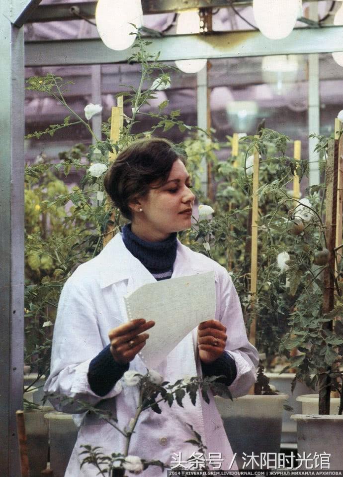 苏联时期的摩尔达维亚老照片 图6是当年的女神 图9机械化程度很高