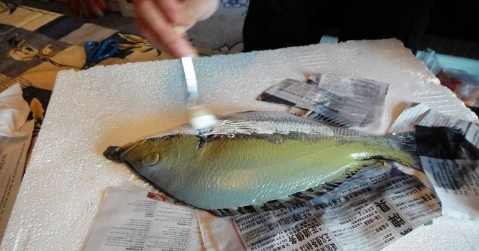 将活鱼拓画您能欣赏得了这样的艺术吗