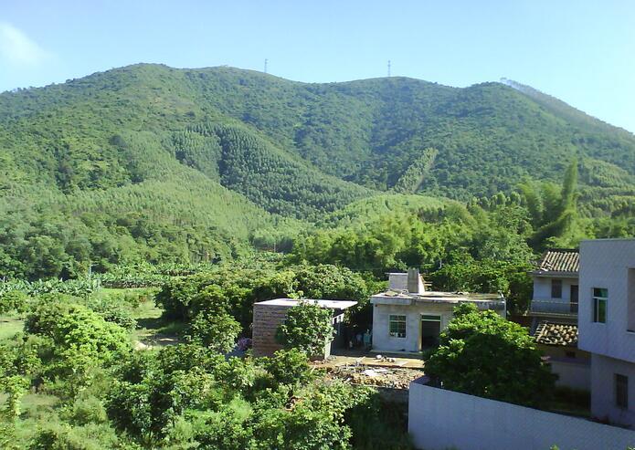 化州这座山, 被誉为粤西名胜, 南国名山!