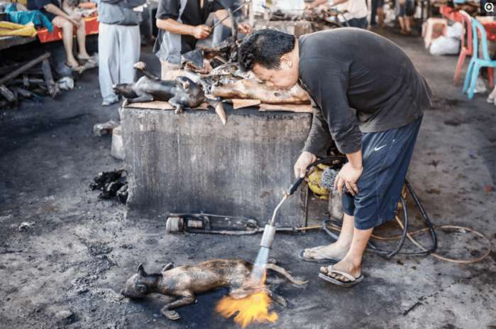 九八印尼华人烧烤图片