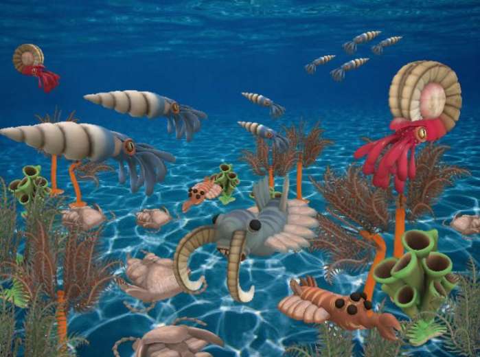 直径250公里陨石坑被发现,科学家:或是二叠纪生物大灭绝的证据