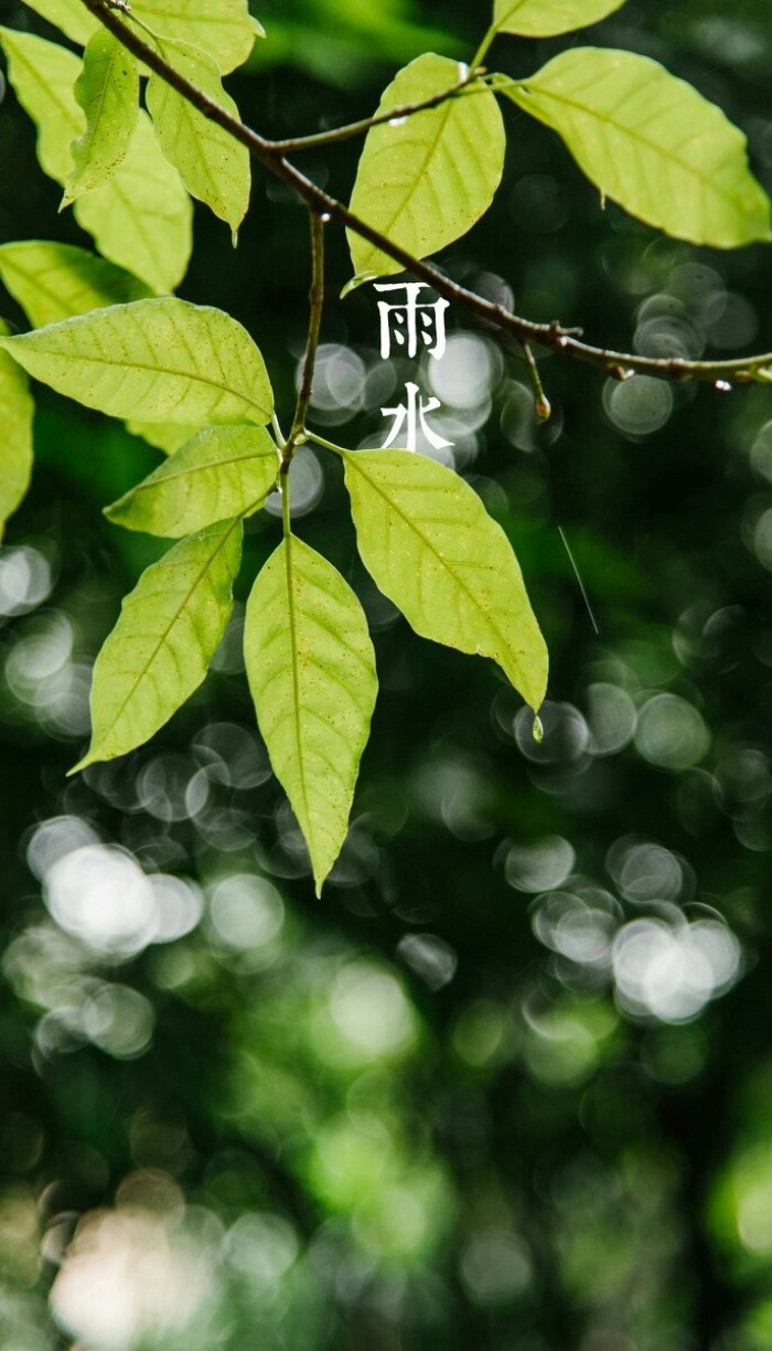 好雨知时节 当春乃发生|时节_新浪新闻