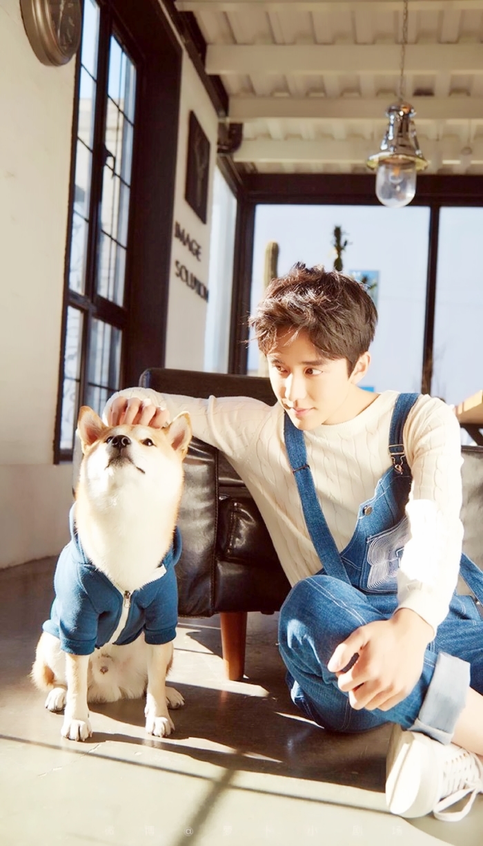 你好,旧时光从校服到婚纱,林杨永远是唯周是命的小太阳