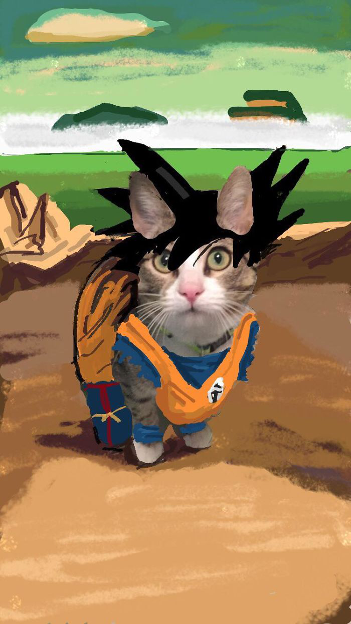 请让你家的猫做一次超级偶像吧!不然.|你家|偶像|龙珠_新浪新闻