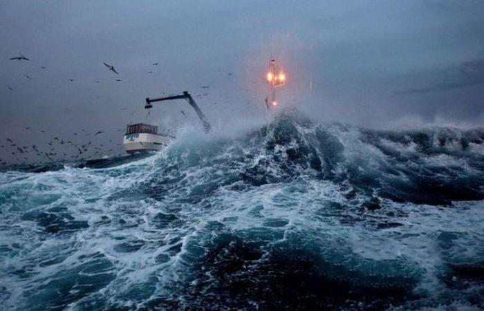 美元|职业|工作_新浪新闻