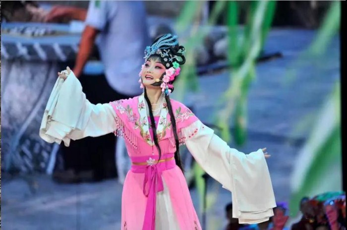 运城爱心艺术团荣誉团长,中国戏曲梅花奖得主贾菊兰亮相央视春晚