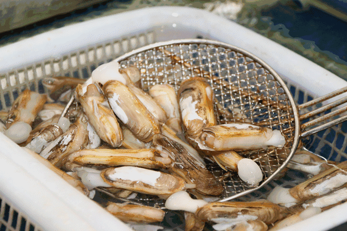 比起其他酒店的日料档口,品种多,质量好,补货快,回本最快的三文鱼