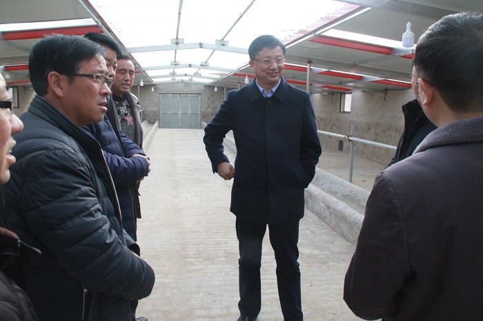 建设及饲草青贮情况 1月21日,县委副书记何鹏峰带领县督查考核局主要