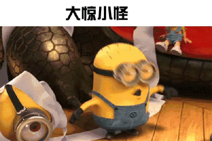 英雄不帅:在义乌属于正常现象@小虎233:还真的不少@ywflf :正常,说明