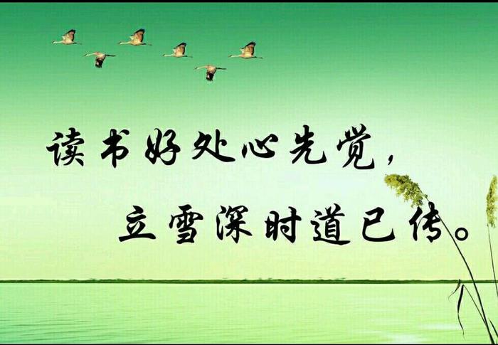 让孩子爱上读书