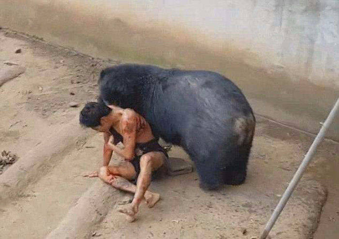 面对饥肠辘辘的危险黑熊,泰国男子却冒险去投食差点丧命