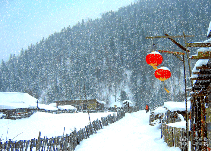 干嘛非要去哈尔滨！看看这些原始纯净的“雪乡”吧|雪乡|北红村|木屋|喀纳斯|游客_新浪新闻