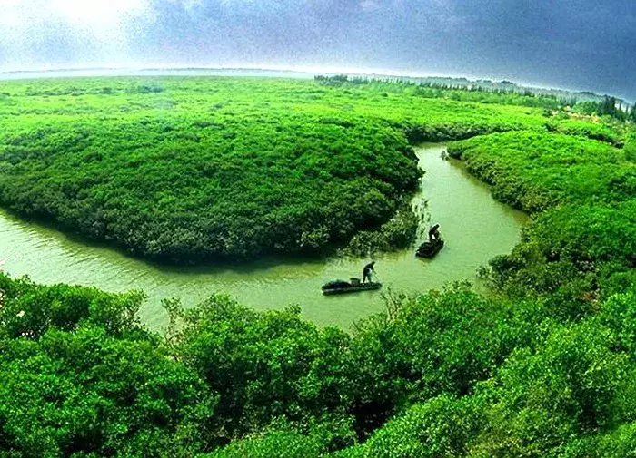 廉江高桥红树林保护区亲近大自然的好地方