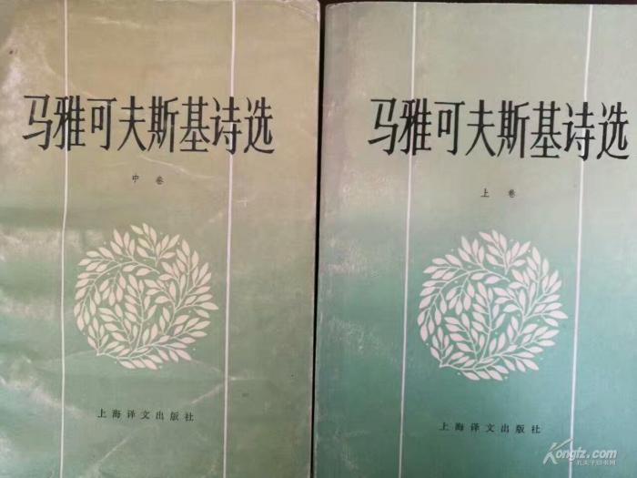 马背译诗人汪飞白