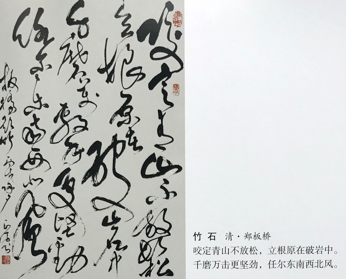 史正学书法:郑板桥诗王继兴书法:录禅诗史正学书法:怀素草书歌王继兴