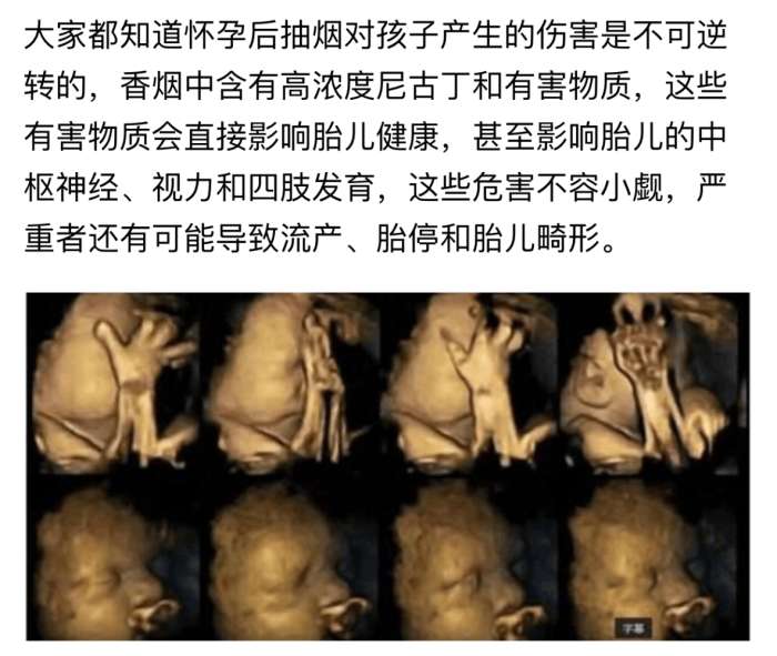 看完你还敢抽烟吗