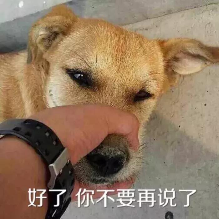 想不到福原爱也会套路自己的孩子, 你们确定不是父母捡来的吗?