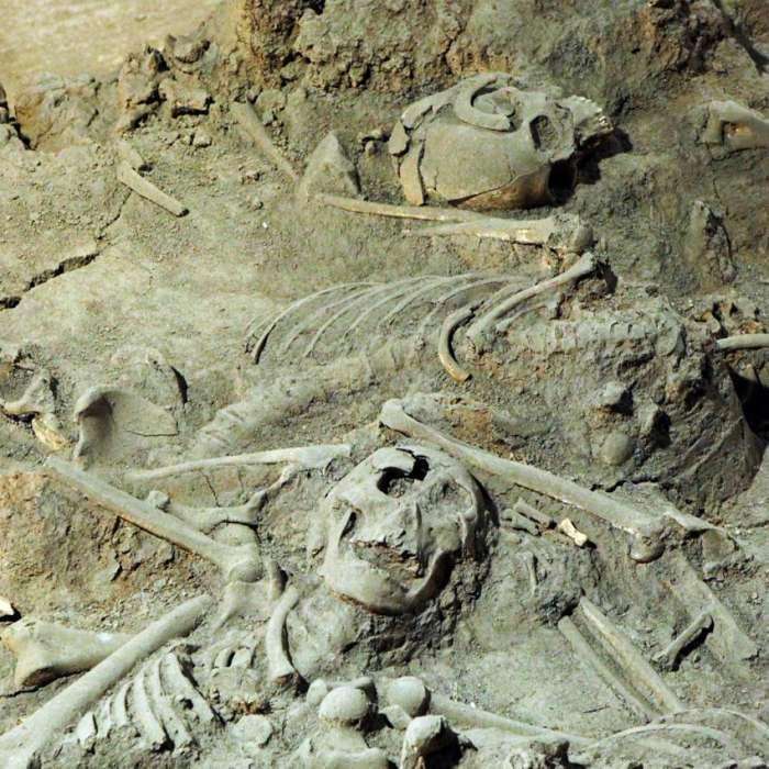 日本考古造假,挖出70万年历史,被揭穿后再不敢