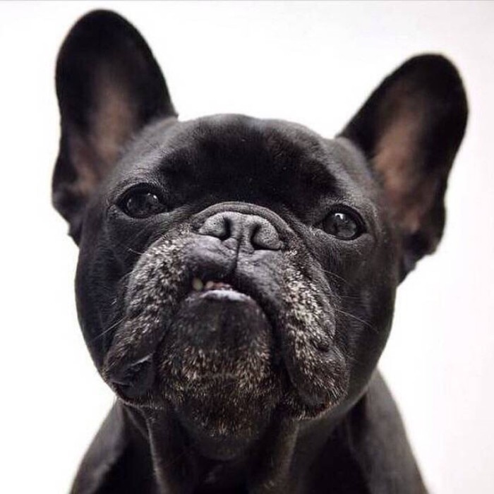 开心一刻笑话凡事要长点心你爸每次都被我挠的跟斑马线似的