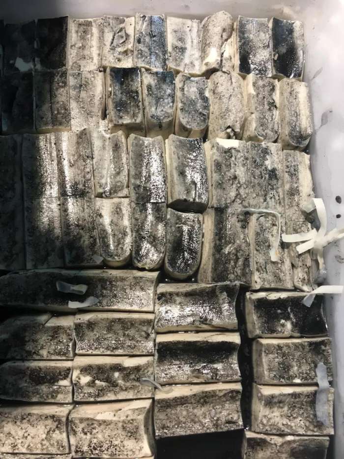 豆腐长毛了他们换包装拿到市场去卖众人哄抢去买