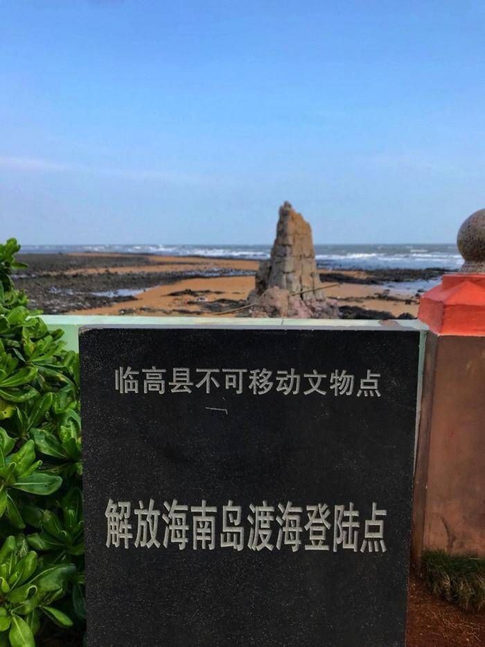 软件行业动态：临高软件定制案例解析与展望