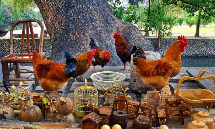 清汤越鸡是浙江绍兴的特色传统风味名菜,据说是春秋时期越国流传下来