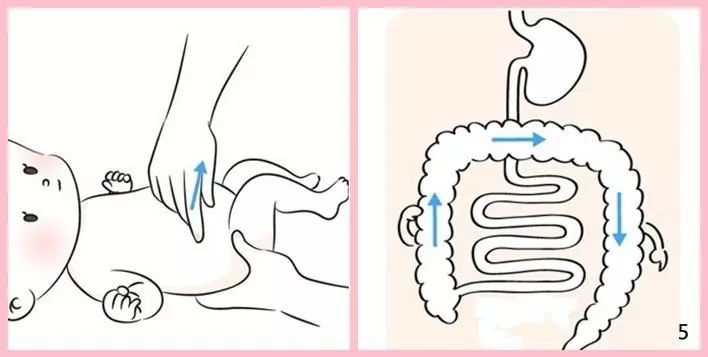 我们生活中都有体会,有些东西吃了以后总爱放屁,比如一些水果,酵母