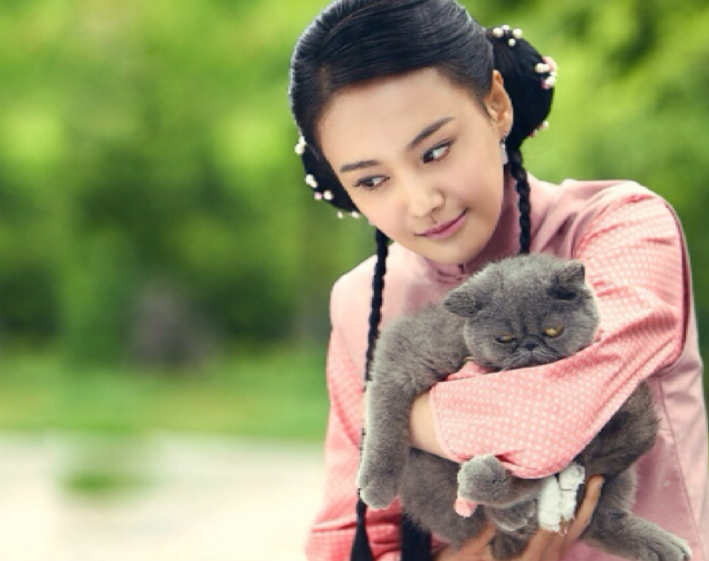 古装女神怀抱小猫第二第三只是一对吧最后一张猫的表情亮了