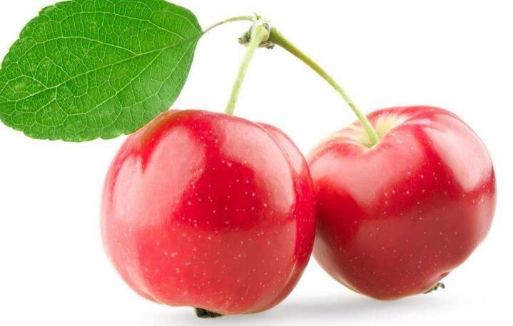 苹果小米粥的功效是什么呢?赶快来看看,学会不