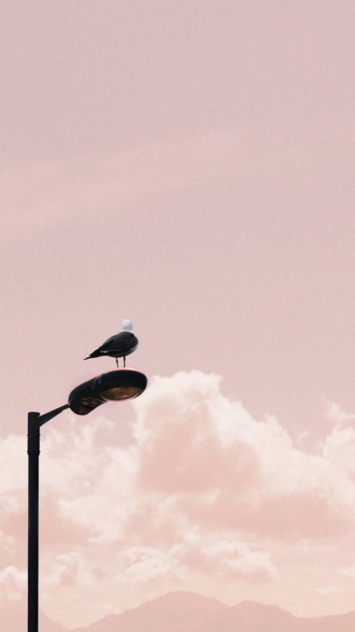 风景壁纸分享喜欢右下角