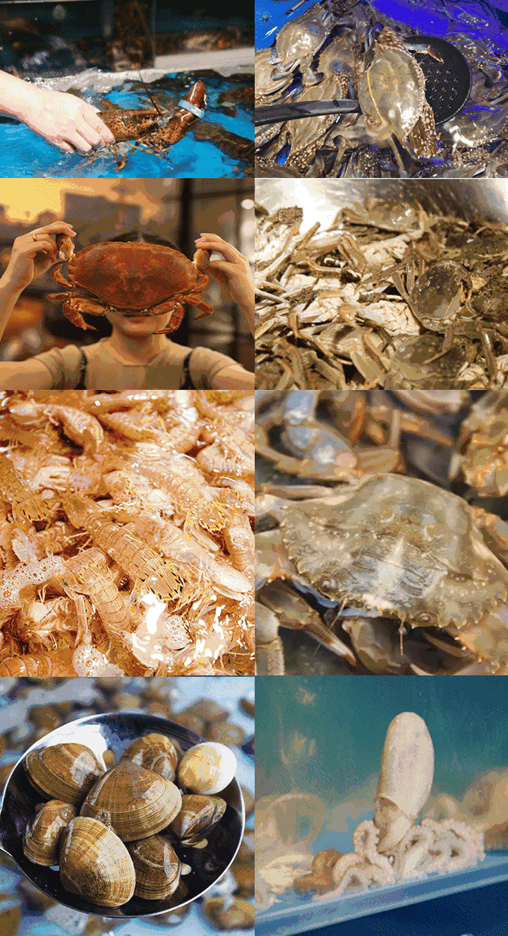 连马云都来尝鲜过|马云|鲍鱼|海鲜_新浪新闻