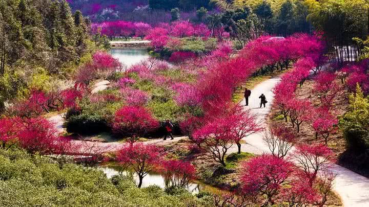 省里公布!家门口的7个"最美赏花胜地" ,你都去过吗?