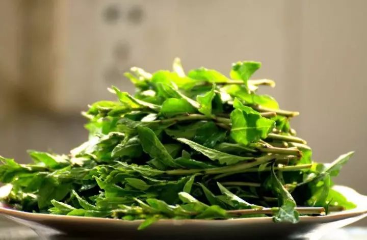 它是早春最该吃的菜,清肝明目,把春意嚼在齿间,口齿噙香