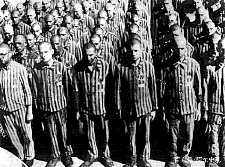 犹太人|纳粹|集中营_新浪新闻