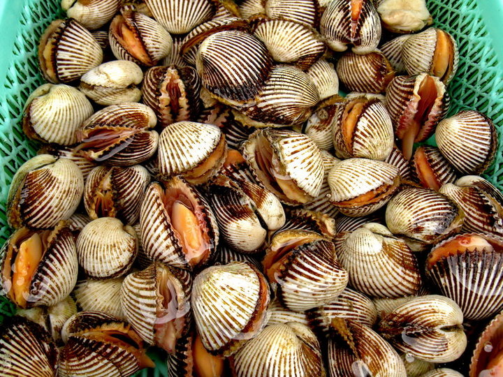 这几样都是经常吃的菜你肯定没有洗对过方法不对会越洗越脏