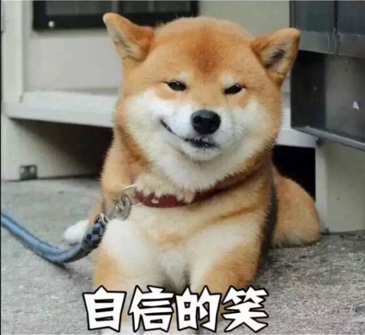 男子拒捕竟一口咬住警犬狗头 !