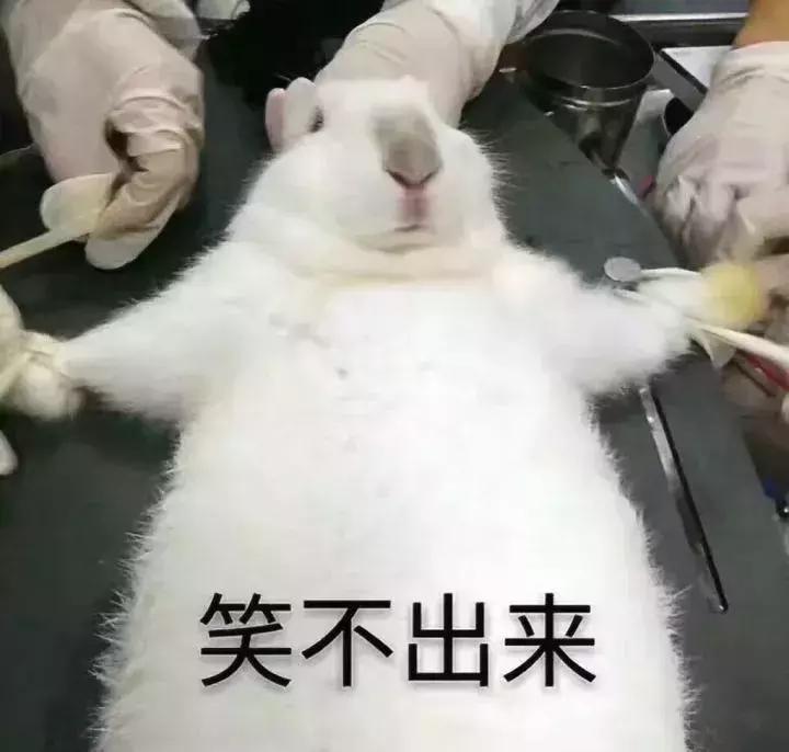 盘点蠢哭了的奇葩笨贼