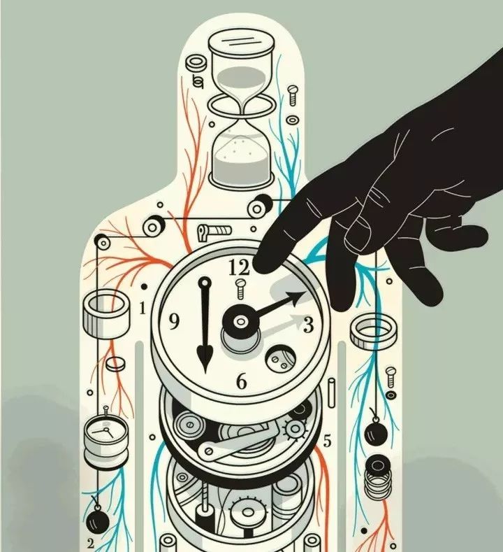 科学家表示,人类生物钟紊乱会引发很多问题,举个最常见的例子就是倒