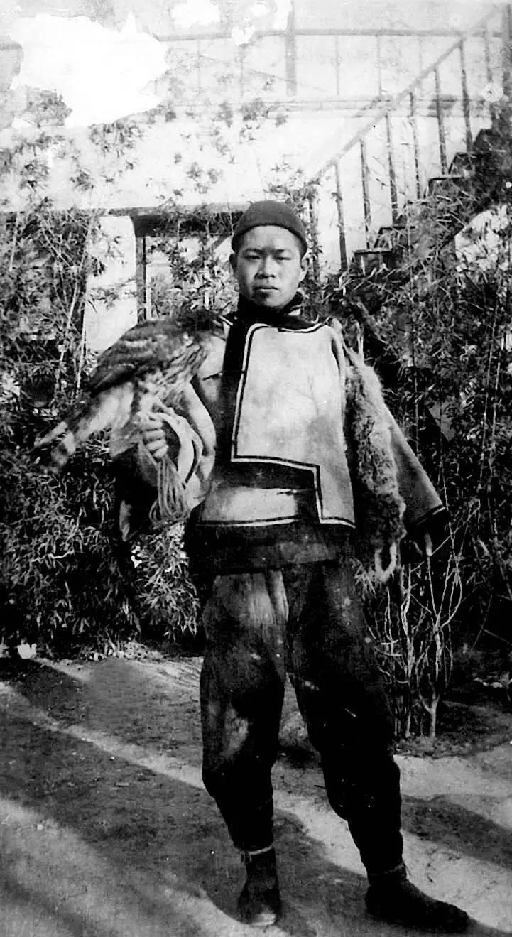 京城第一玩家,世间再无王世襄!