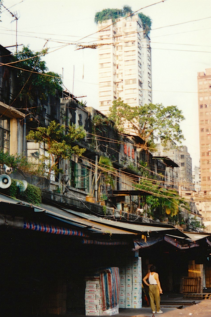 老照片 | 香港九龙,1994年10月.塞卡蒙