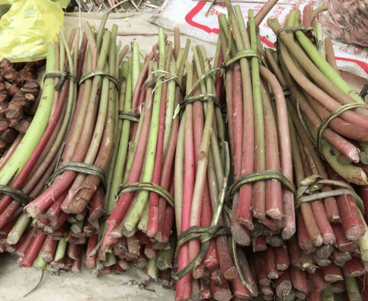 "仅在较冷的水沟里生长,里面全是天然的酸汁,农村管这"草"叫"酸汤草"