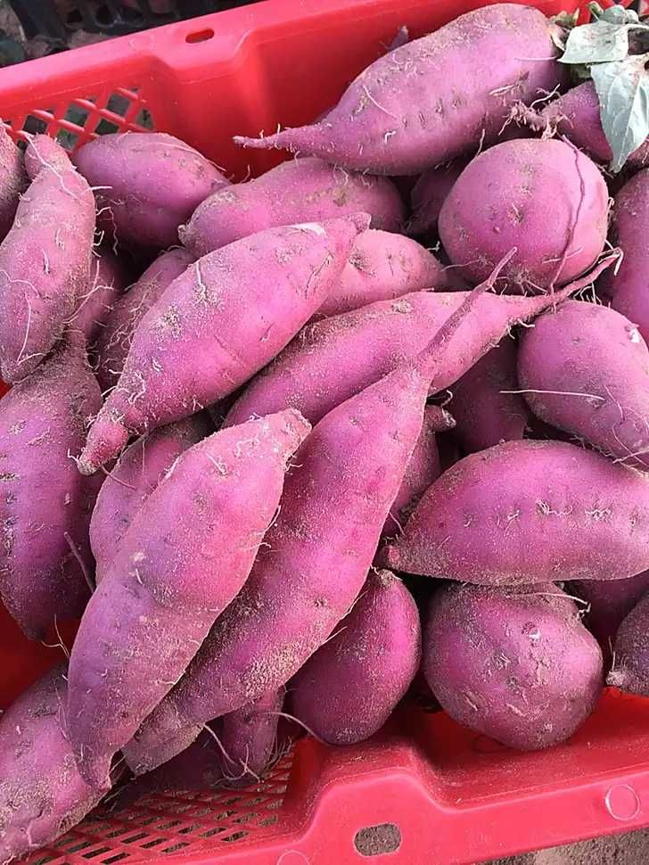 冷风嗖嗖,有什么比热气扑腾的桥头富硒地瓜更能慰藉人心呢